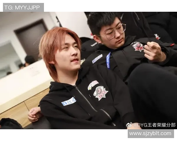 王者荣耀战队LNG的快速崛起与战术分析探讨